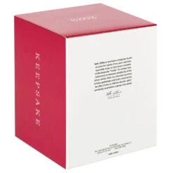 Hallmark Avatar: The Way Of Water Jake Sully On Skimwing Ornament -Featured Home Stores Avatar Jake Sully on Skimwing Keepsake Ornament 2799QXI7417 05