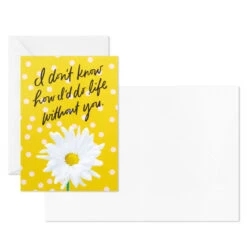 Hallmark Colorful Daisies Boxed Thank-You Notes, Pack Of 50 -Featured Home Stores Colorful Daisies Boxed ThankYou Notes 3THK2543 04