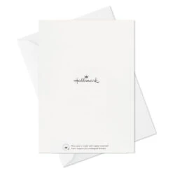 Hallmark Colorful Daisies Boxed Thank-You Notes, Pack Of 50 -Featured Home Stores Colorful Daisies Boxed ThankYou Notes 3THK2543 07