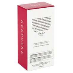 Hallmark Hot Wheels™ Mach Speeder™ Ornament With Light -Featured Home Stores Hot Wheels Mac Speeder Keepsake Ornament 1999QXI7389 05