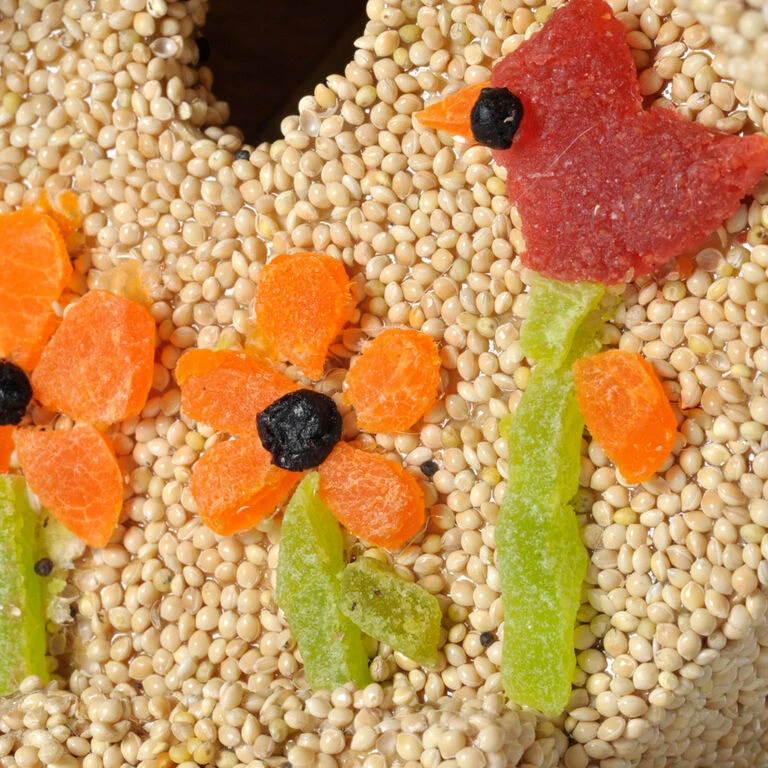 Mr. Bird Spring Fruit Casita Birdhouse 2 Mr. Bird Spring Fruit Casita Birdhouse - Image 2