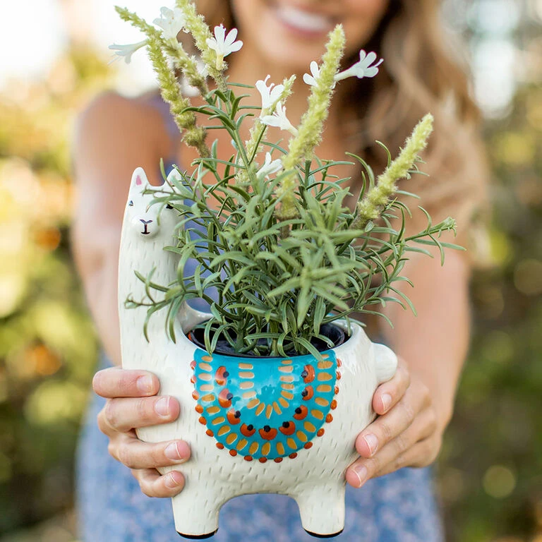 Natural Life Cream Ceramic Llama Planter 2 Natural Life Cream Ceramic Llama Planter - Image 2