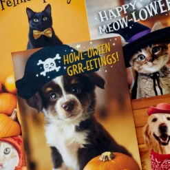 Hallmark Pet Puns Boxed Halloween Cards Assortment, Pack Of 48 -Featured Home Stores Pet Puns Boxed Halloween Cards Assortment 5ELT1013 03