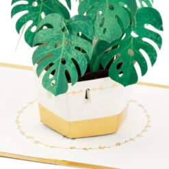 Hallmark Plant In Pot 3D Pop-Up Thinking Of You Card -Featured Home Stores Plant in Pot 3D PopUp Thinking of You Card 1299LAD2900 03