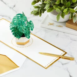 Hallmark Plant In Pot 3D Pop-Up Thinking Of You Card -Featured Home Stores Plant in Pot 3D PopUp Thinking of You Card 1299LAD2900 07