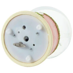 Precious Moments Wishing You Joyful Sounds Of The Season Musical Snow Globe, 5.7" 5 Precious Moments Wishing You Joyful Sounds Of The Season Musical Snow Globe, 5.7" -Featured Home Stores Precious Moments Angel Musical Snow Globe 231104 03